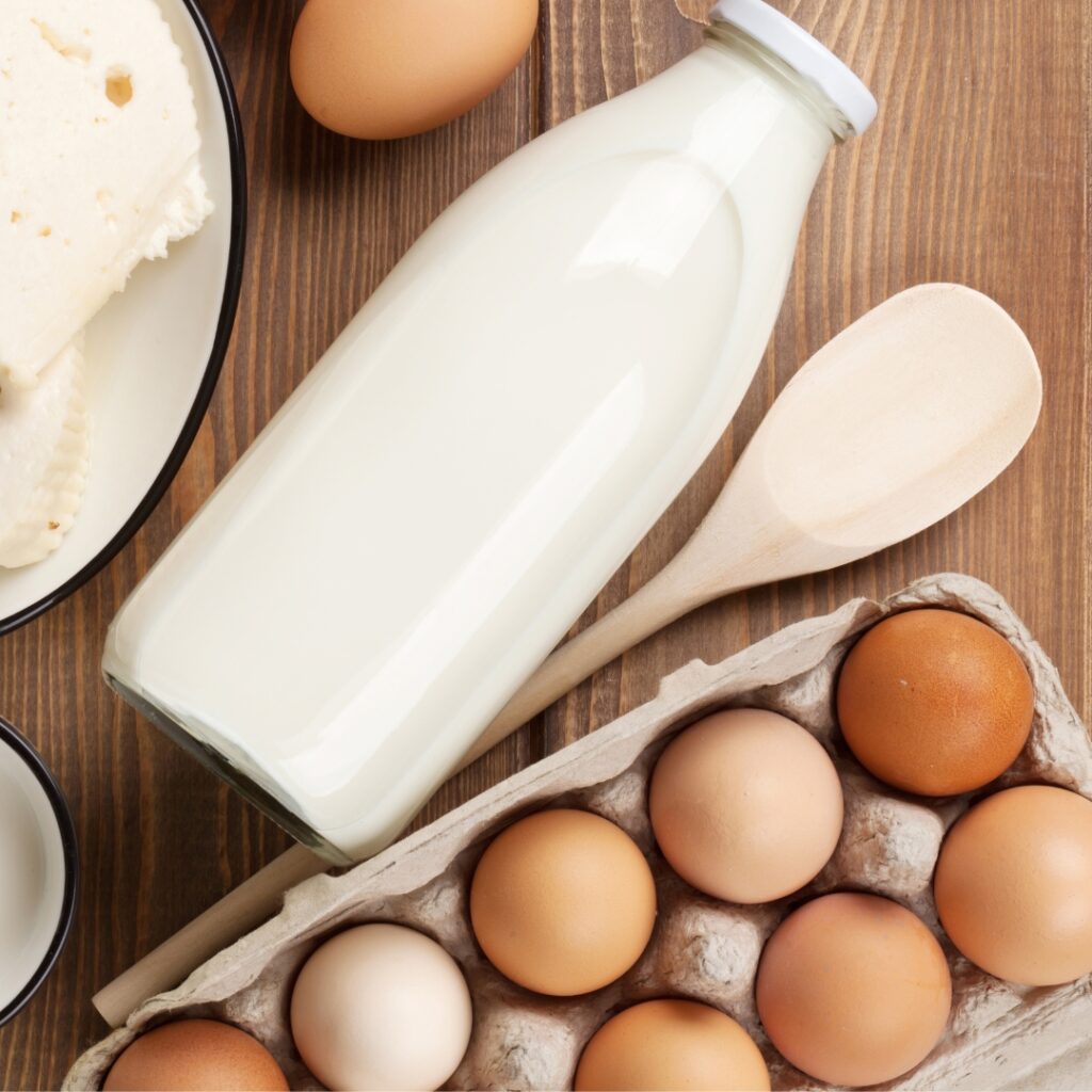 Proteína de Clara de Huevo vs Proteína de Suero de Leche